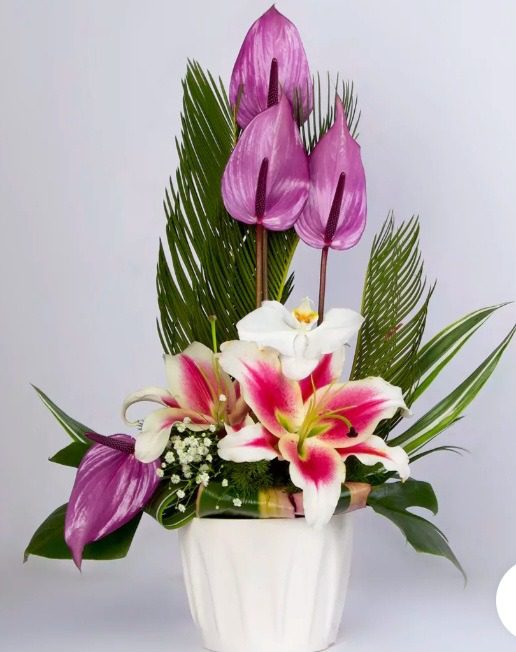 گلدان گل لیلیوم وآنتوریوم کد 27113