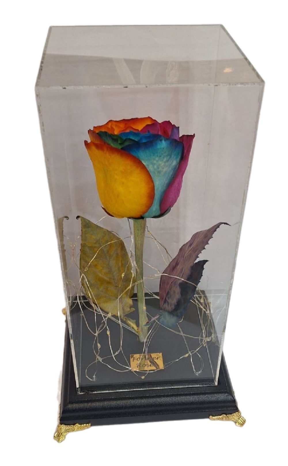 رزجاودان پایدار چراغدار کد 55374
